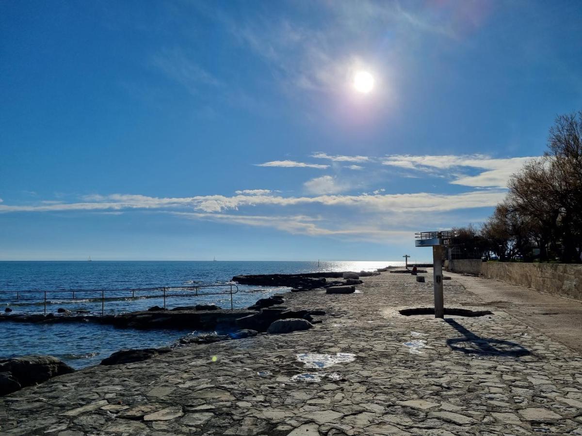 Apartment Rivarela Blu - Newly Renovated And Top Location Near Sea Novigrad  Zewnętrze zdjęcie